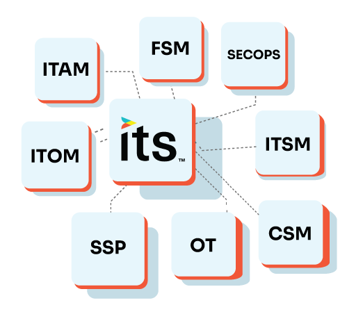 ITS-Partners-Practices