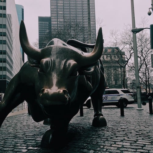 charging-bull-in-the-financial-district-of-new-york_t20_7JBLmZ